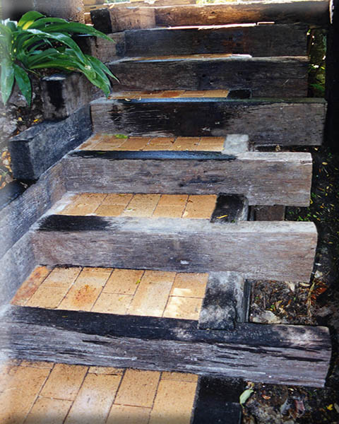 Arapito bush steps